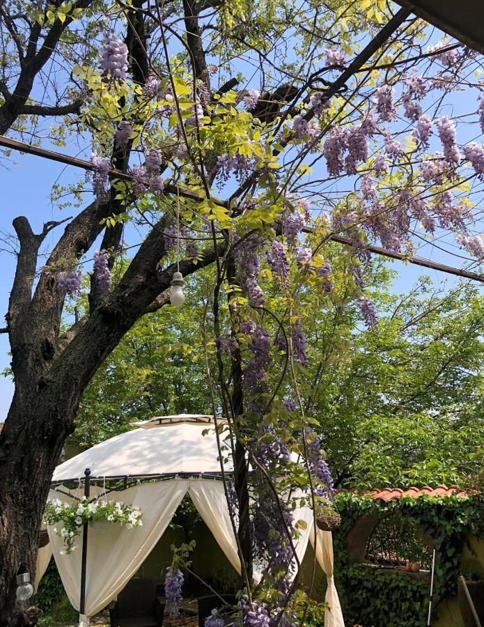 Lux Garden Home D Kumanovo Ngoại thất bức ảnh